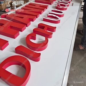 Chu alu Thanh Dung 2