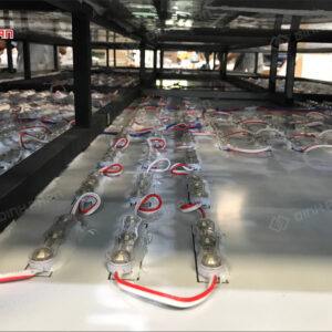 chu inox vang xuoc mica chao sang chan 20